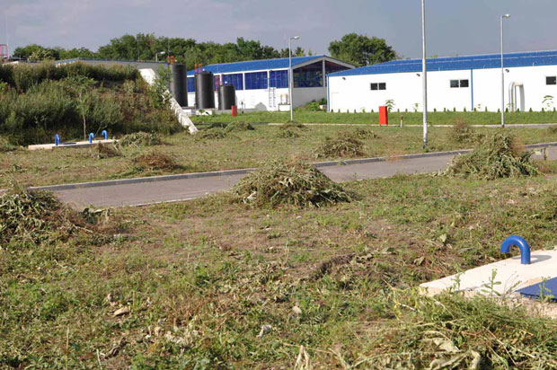 Из чесме још тече отров